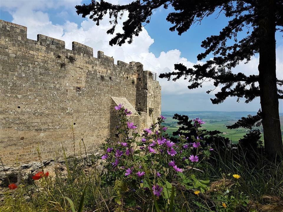 Casetta Di San Martino ตาร์กวิเนีย ภายนอก รูปภาพ